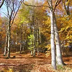 Fachwerkliebe By Interhome Bruchhausen (Hochsauerlandkreis)