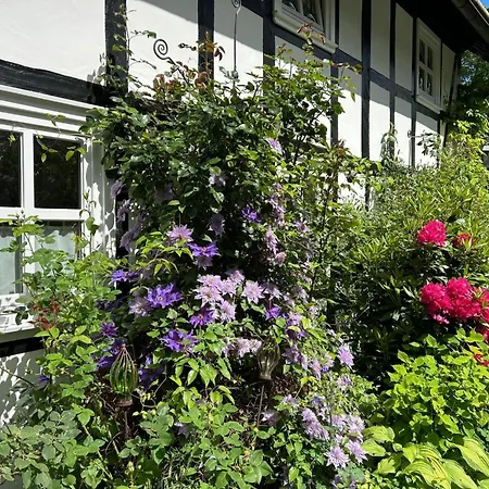 Fachwerkliebe By Interhome Appartamento Bruchhausen (Hochsauerlandkreis)