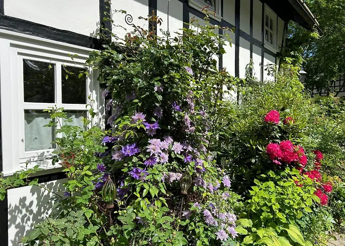 Fachwerkliebe By Interhome Appartement Bruchhausen (Hochsauerlandkreis)