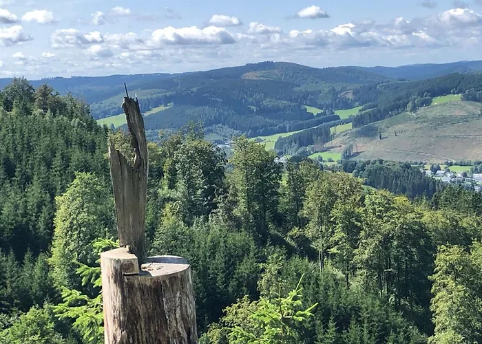 Appartement Fachwerkliebe By Interhome Bruchhausen (Hochsauerlandkreis)